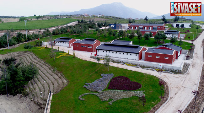 DenizliBüyükşehi