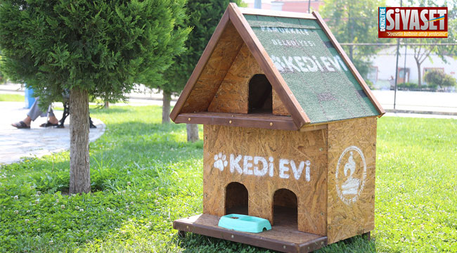 Denizlikedievi