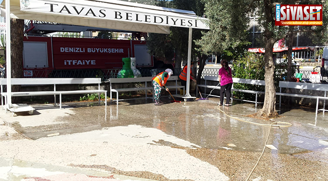 Tavas Temizik