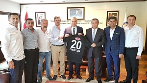 Horozlar yalnız değil