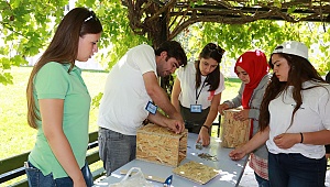 Herşey kuşlar için