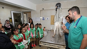 Belediye'den Özel Etkinlik 