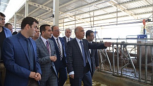 Tavas tesis daha açıldı