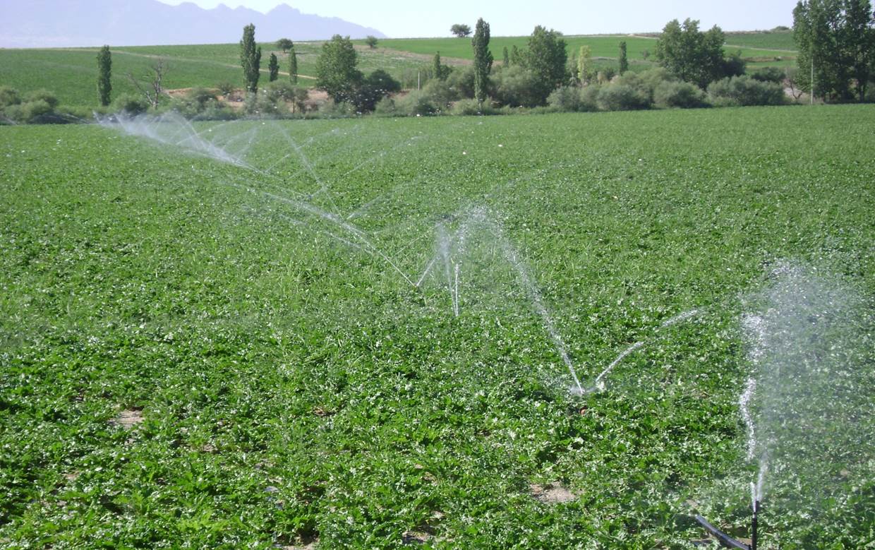 4 İlçede Tarlalar Suya Kavuştu
