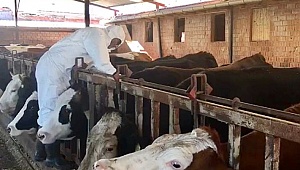 Çivril'de 4 mahalle aşılanıyor