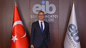 Japonya’ya 2017 Yılında Neler Sattık