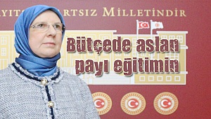 2018 bütçesinde dağılım belli oldu