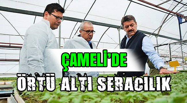 Çameli'de 'Örtü Altı Üretim' Analiz Toplantısı