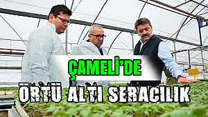 Çameli'de 'Örtü Altı Üretim' Analiz Toplantısı