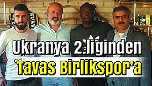 Gana'lı Forvet Tavas'ta