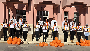 Honaz MYO Turuncuya Boyandı