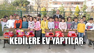 Minikler kediler için barınak yaptı