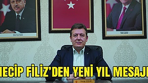 Necip Filiz 