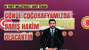 Özkan:'Mevlana Vefanın Simgesidir'