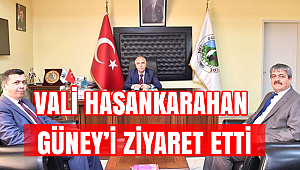 Vali Karahan Güney İlçesinde İncelemelerde Bulundu
