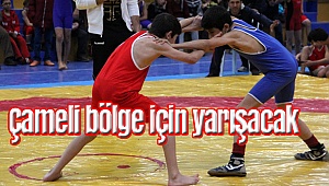 Çameli Başpehlivanlar Yetiştiriyor