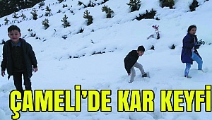 Çameli'de Kar Keyfi