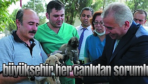 ONLAR SAHİPSİZ DEĞİL!