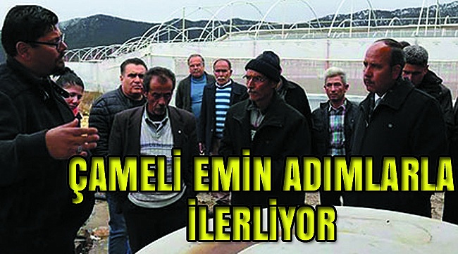 ÖRTÜ ALTI SERACILIKTA BAŞI ÇEKİYOR