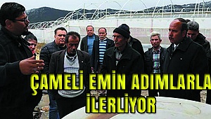 ÖRTÜ ALTI SERACILIKTA BAŞI ÇEKİYOR