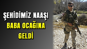 Şehidimizin Naaşı Baba Ocağı Çivril'de