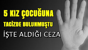 Tacizciye Rekor Ceza