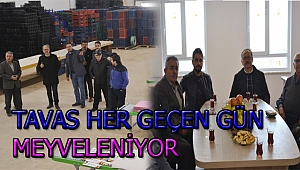 Tavas'ın geleceği tarım ve hayvancılıkta