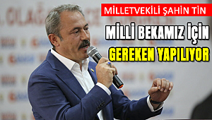 Tin , Zeytin Dalı Harekatını Yorumladı