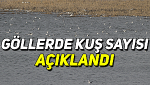 Sonuçlar Şaşırttı