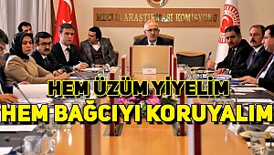 Tin'den Bağcılara Destek