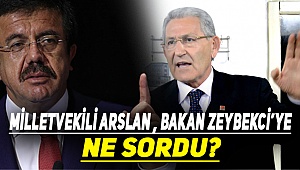 Arslan , Bakan Zeybekci'ye sordu
