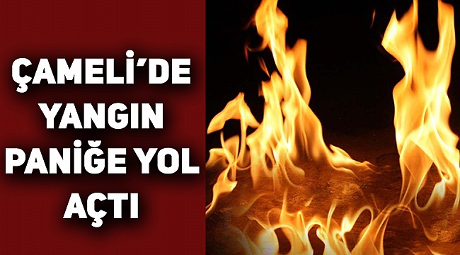 Çameli'de Yangın Çıktı