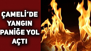 Çameli'de Yangın Çıktı