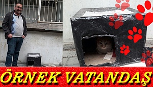 GÖNÜLLÜ ELLERDEN KEDİ EVİ