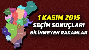 Denizli'de yaşanan son genel seçim istatistikleri