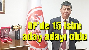 DP'de 15 aday adayı var
