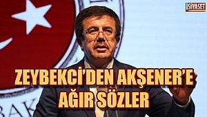 Akşener'e Zeybekci'den cevap