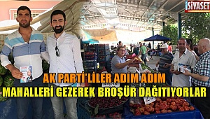 AK Partililer broşür dağıttı 