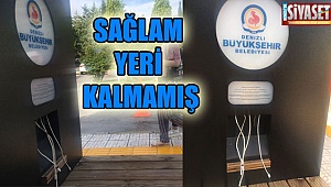 Bu kadarına da pes artık