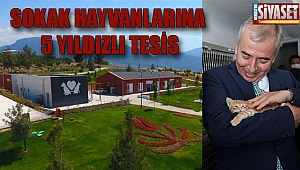 Sokak hayvanlarına 5 yıldızlı tesis