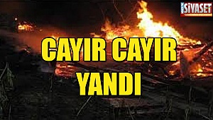 Cayır cayır yandı
