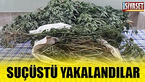  Denizli İl Jandarma Komutanlığı'ndan baskın