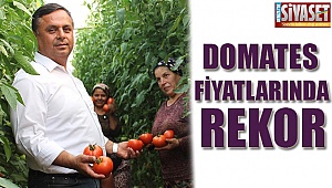 Domates fiyatlarında rekor