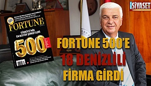 Fortune 500 listesinde 18 Denizlili firma