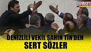 HDP'li vekile Şahin Tin bu sözlerle yüklendi