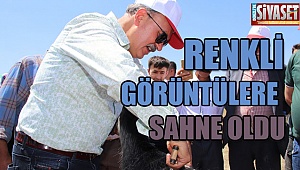 Renkli görüntülere sahne oldu