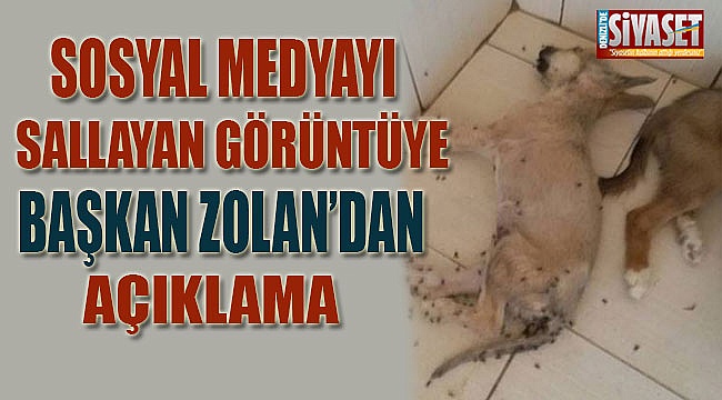 Sosyal medyayı sallayan görüntüye Başkan Zolan'dan açıklama