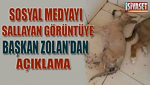 Sosyal medyayı sallayan görüntüye Başkan Zolan'dan açıklama 