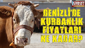 Denizli'de kurbanlık fiyatları ne kadar?