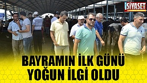 Fiyatlar yarı yarıya düştü